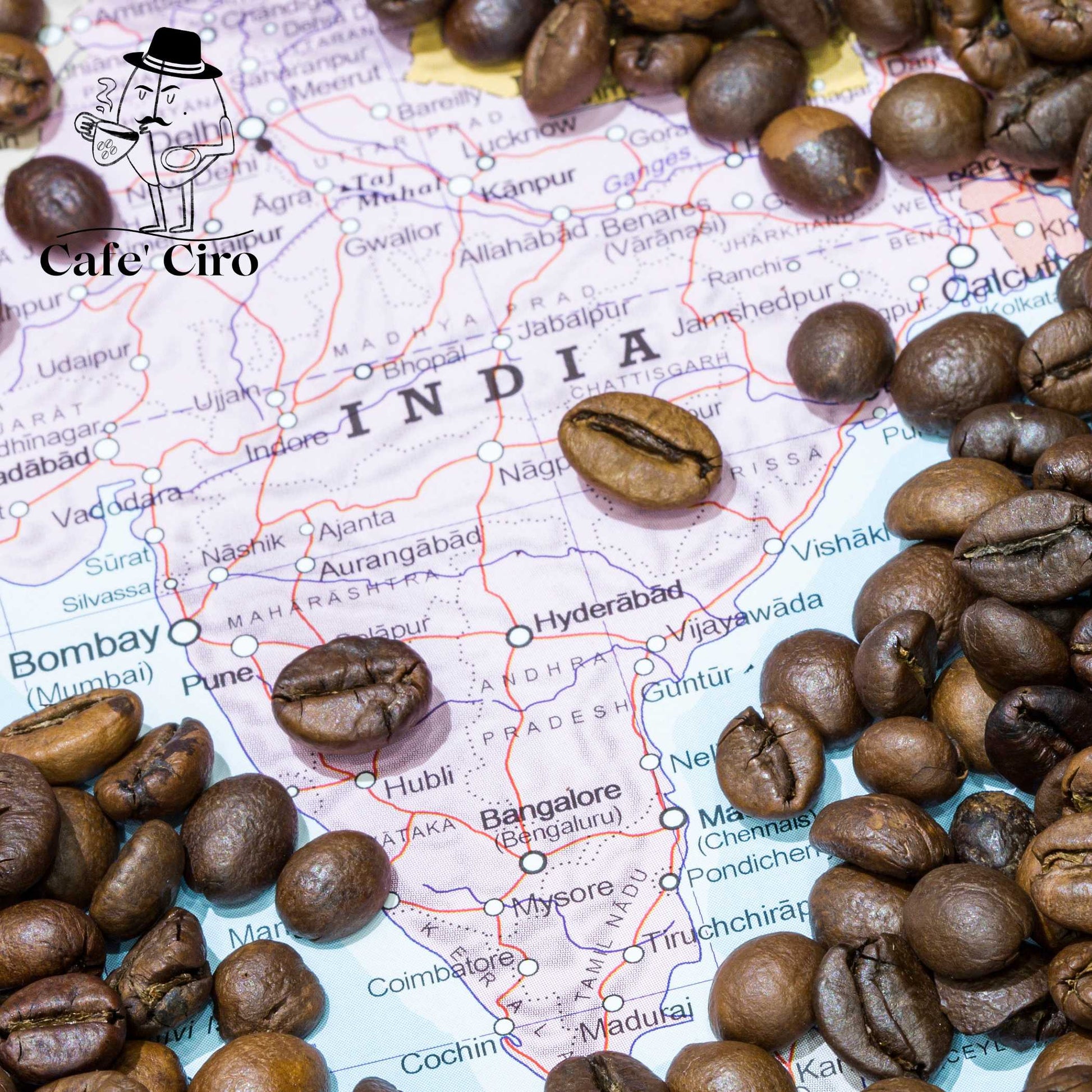 Our latest addition to the coffee family is the Cafe'Ciro N2  Monsoon Malabar Made In India.  This special coffee from India undergoes a unique treatment that replicates the original journeys of the beans back to Britain.